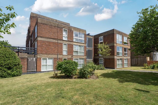 3 bed flat