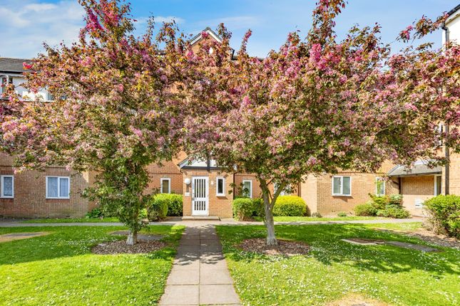 1 bed flat