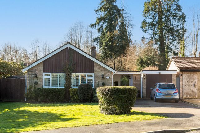 3 bed detached bungalow
