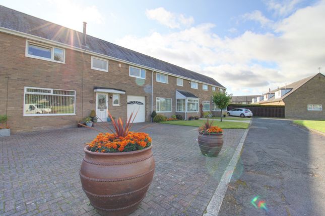 3 bed terraced house