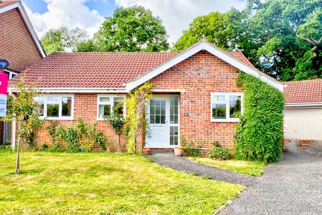 Lower Heyshott, Petersfield GU31 3 bed detached bungalow for sale