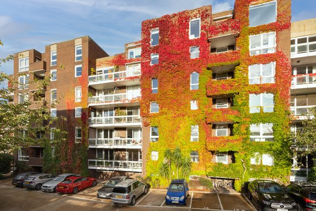3 bed flat