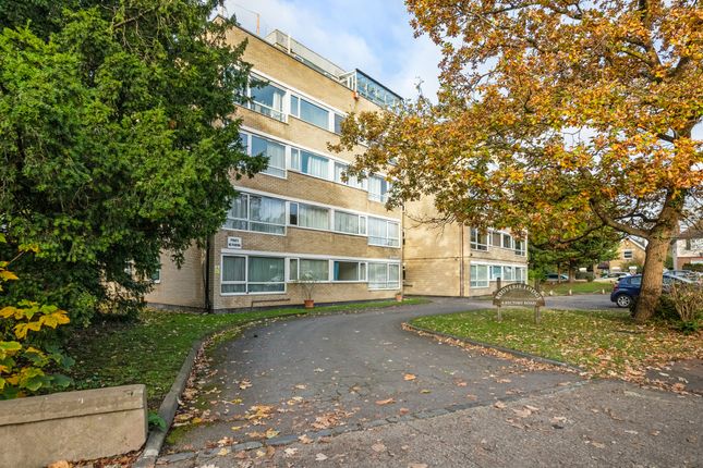 1 bed flat