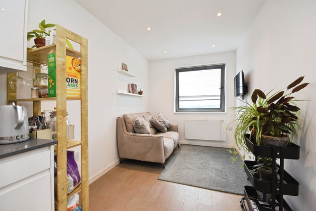 1 bed flat