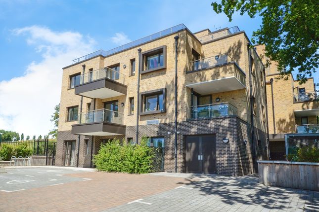 1 bed flat
