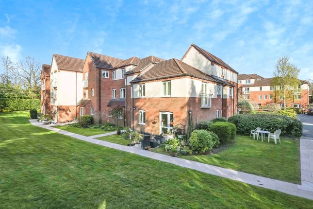 1 bed flat