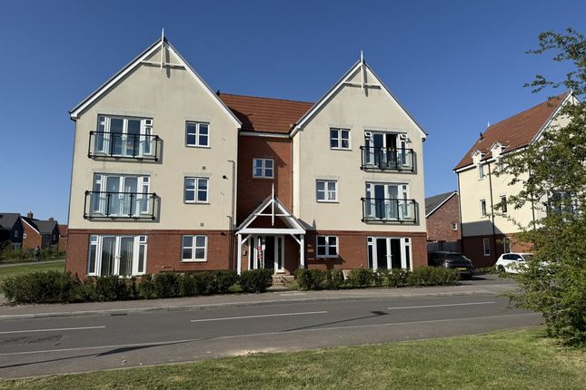 1 bed flat