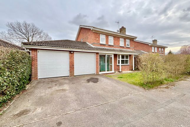 Gallows Lane, Westham, Pevensey, BN24 4 bed detached house for sale