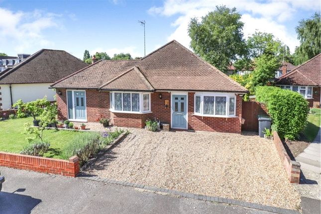 3 bed bungalow