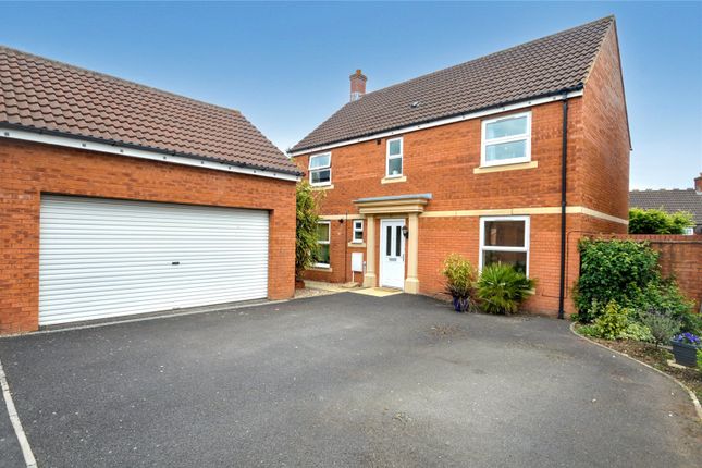 Oak Apple Drive, Bridgwater... 4 bed detached house for sale