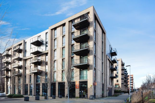 1 bed flat