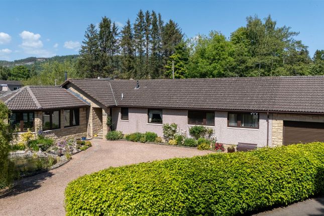 5 bedroom detached bungalow for sale
