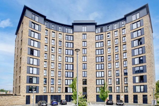1 bed flat