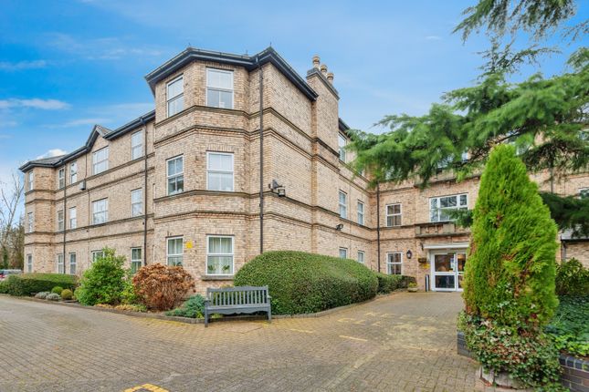 1 bed flat