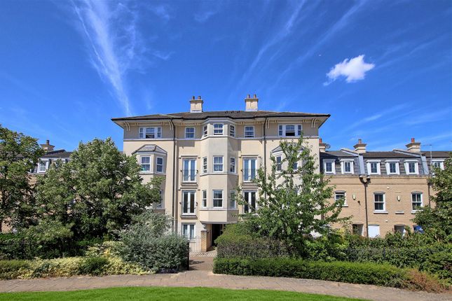 1 bed flat