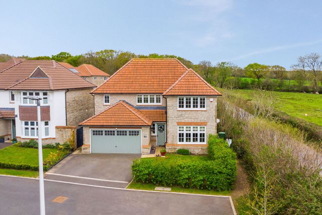 Clamour Court, Barnstaple EX31 4 bed detached house for sale