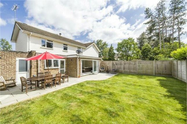 4 bed semi-detached house