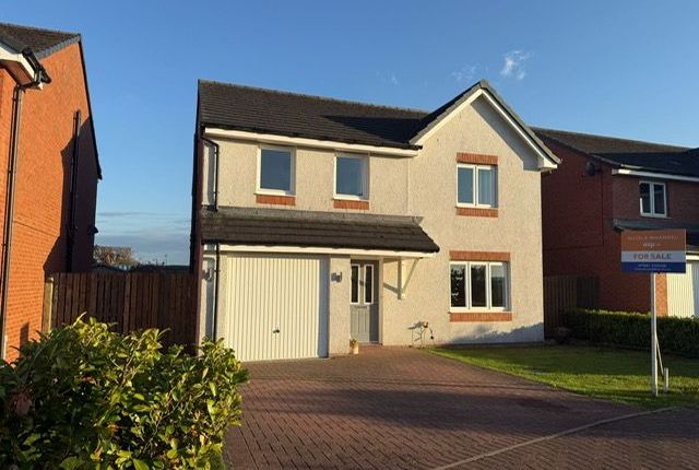 Vendace Wynd, Lockerbie DG11 4 bed detached house for sale