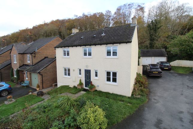 Buckland Drive, Bwlch, Brecon, LD3 4 bed detached house for sale