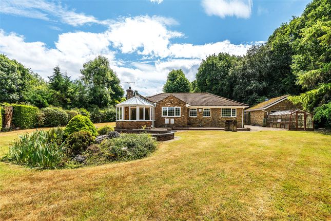 4 bed bungalow