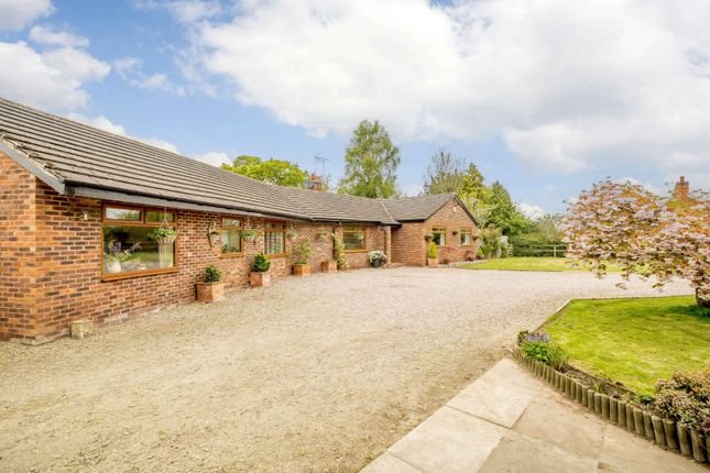4 Bedroom Equestrian Facility Character Property