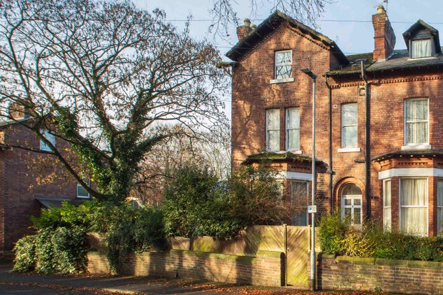 1 bed flat