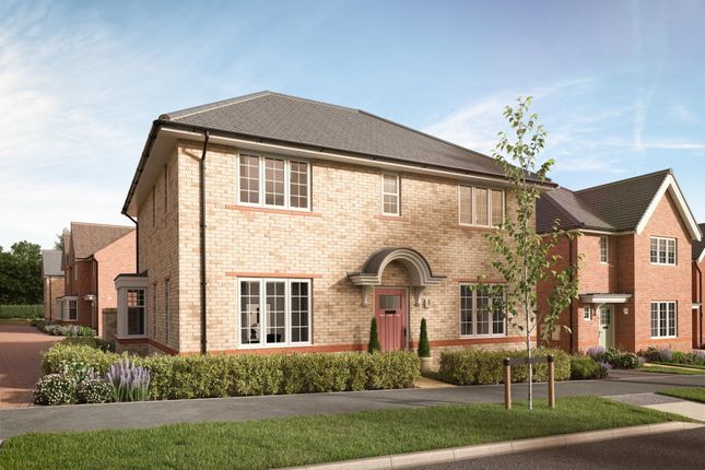 Plot 205, The Dagnall at Saxon Park... 4 bed detached house for sale