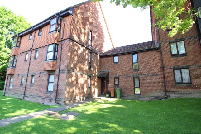 1 bed flat
