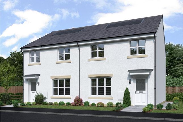 Plot 19, Fulton Semi at Antonine... 3 bed semi