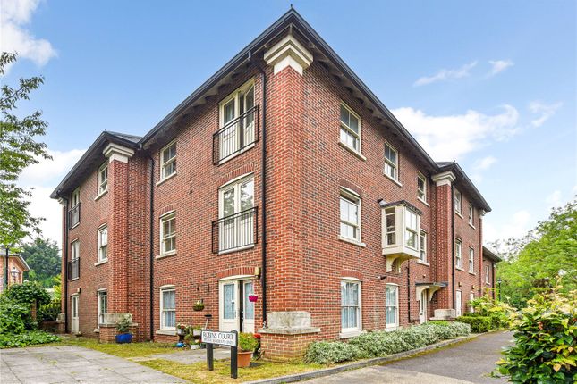 1 bed flat
