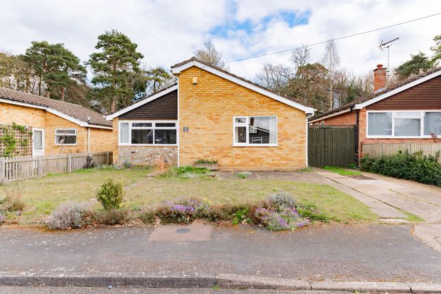 Birch Crescent, Brandon IP27 3 bed detached bungalow for sale