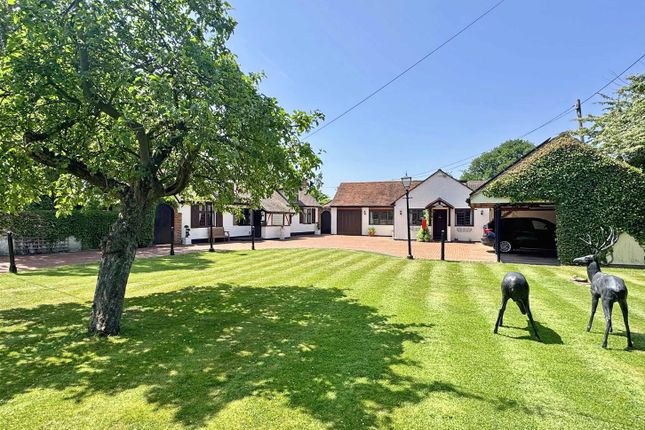Gransmore Green, Felsted, Dunmow 7 bed detached bungalow for sale