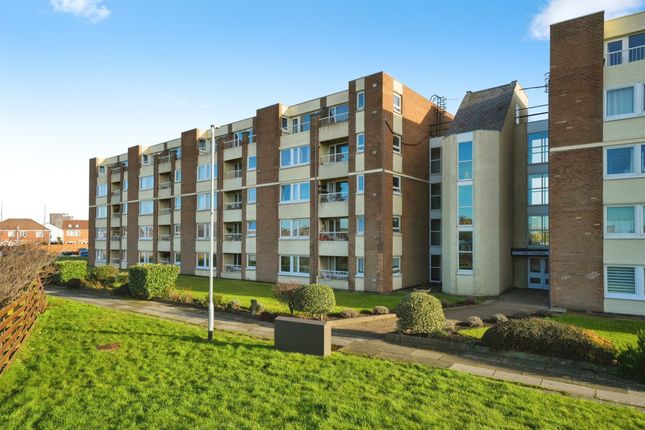 1 bed flat