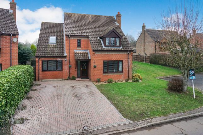 Church Meadow, Alpington, Norwich 4 bed detached house for sale