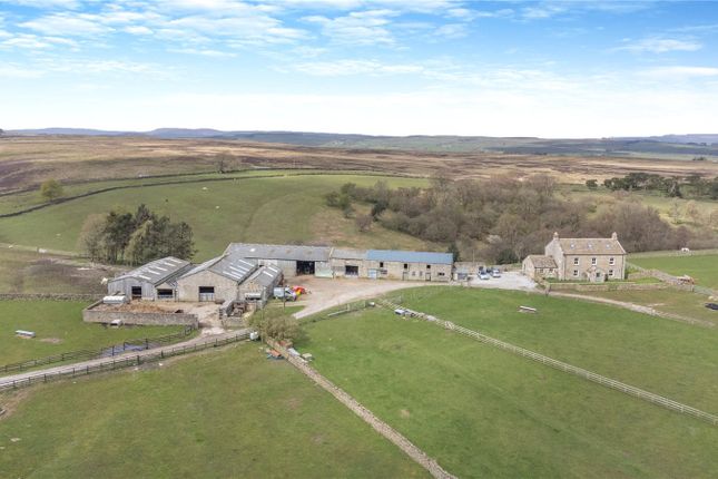 Lartington, Barnard Castle, County... 5 bed equestrian property for sale