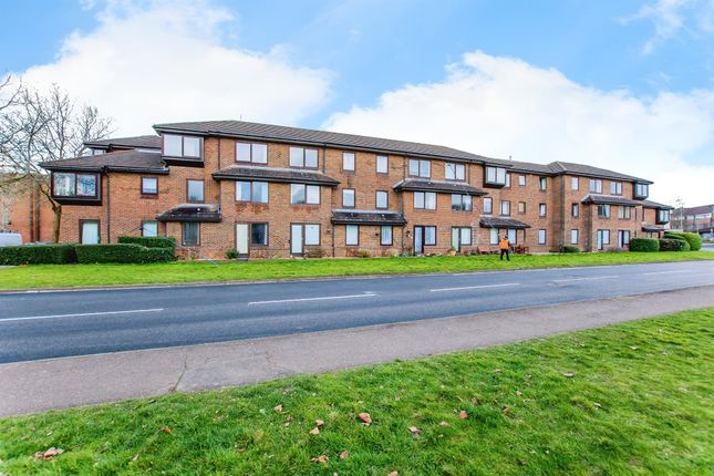 1 bed flat