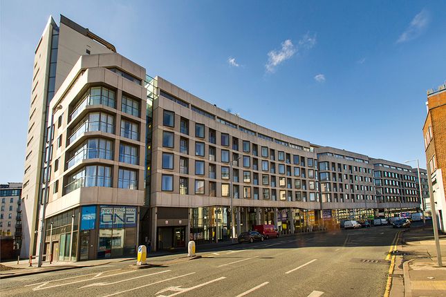 1 bed flat