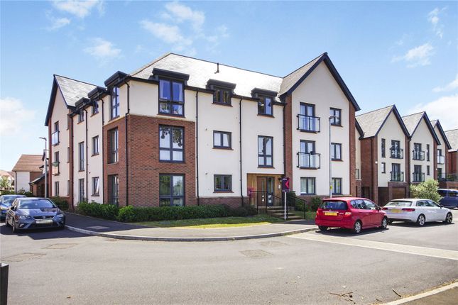 1 bed flat