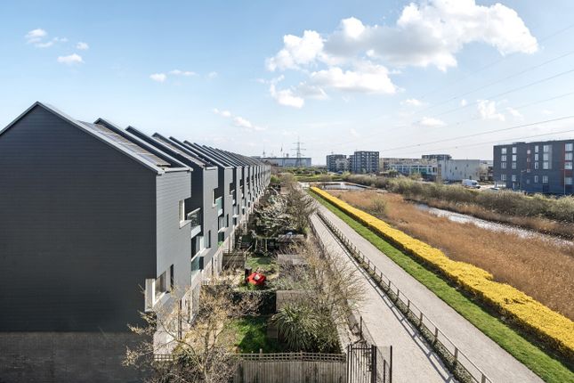 1 bed flat