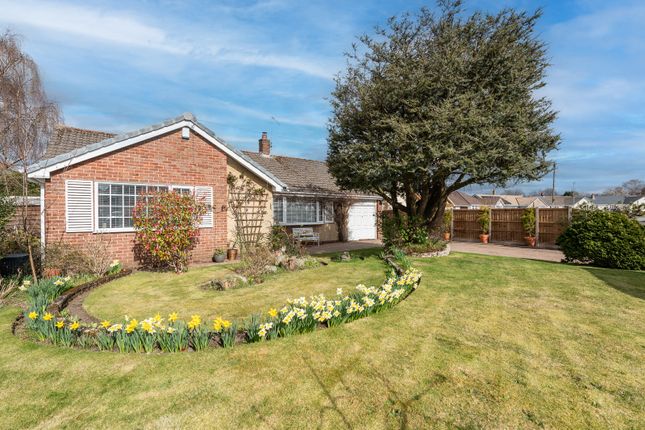 3 bed bungalow