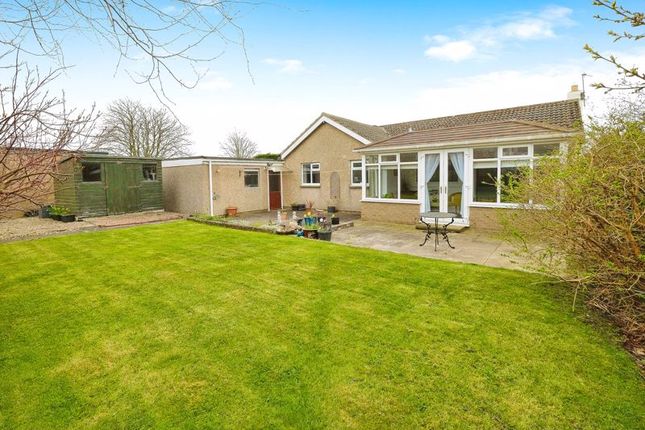 3 bed bungalow