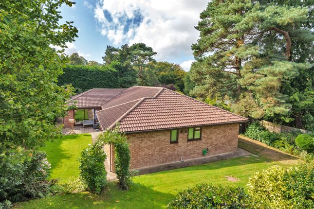 4 bed bungalow
