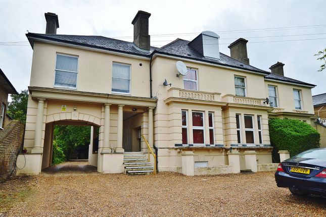 1 bed flat