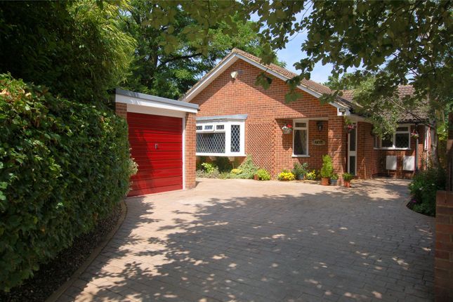 3 bed bungalow