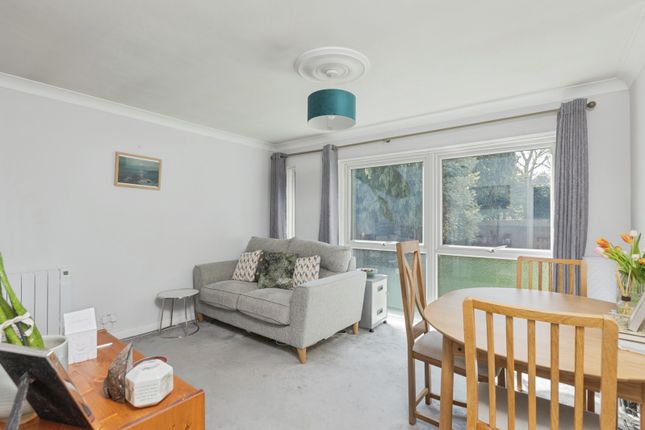 1 bed flat