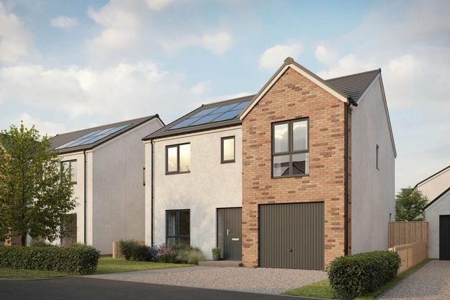 Hazelwood Plot 101 'Maxwell', 4, Fred... 4 bed detached house for sale