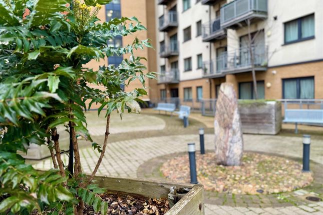 1 bed flat