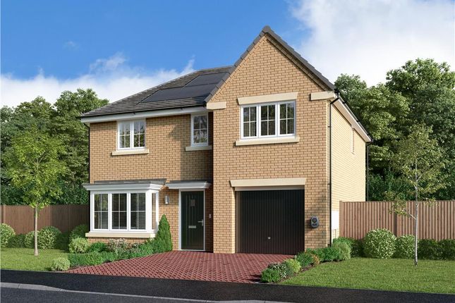 Plot 64, The Kirkwood at Windlestone... 4 bed detached house for sale