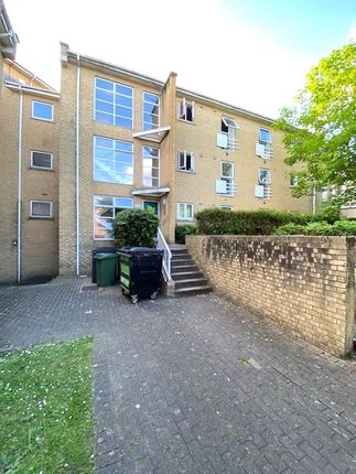 1 bed flat