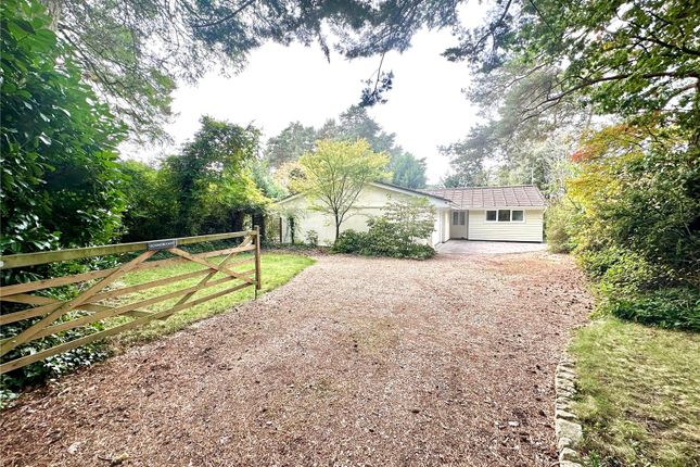 Ashley Drive North, Ashley Heath... 5 bed bungalow for sale
